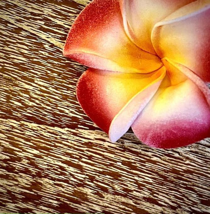 Boho Bellissimo Villa Ubud Eksteriør bilde